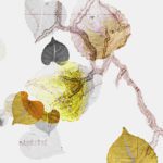 Vertere wallpaper 006