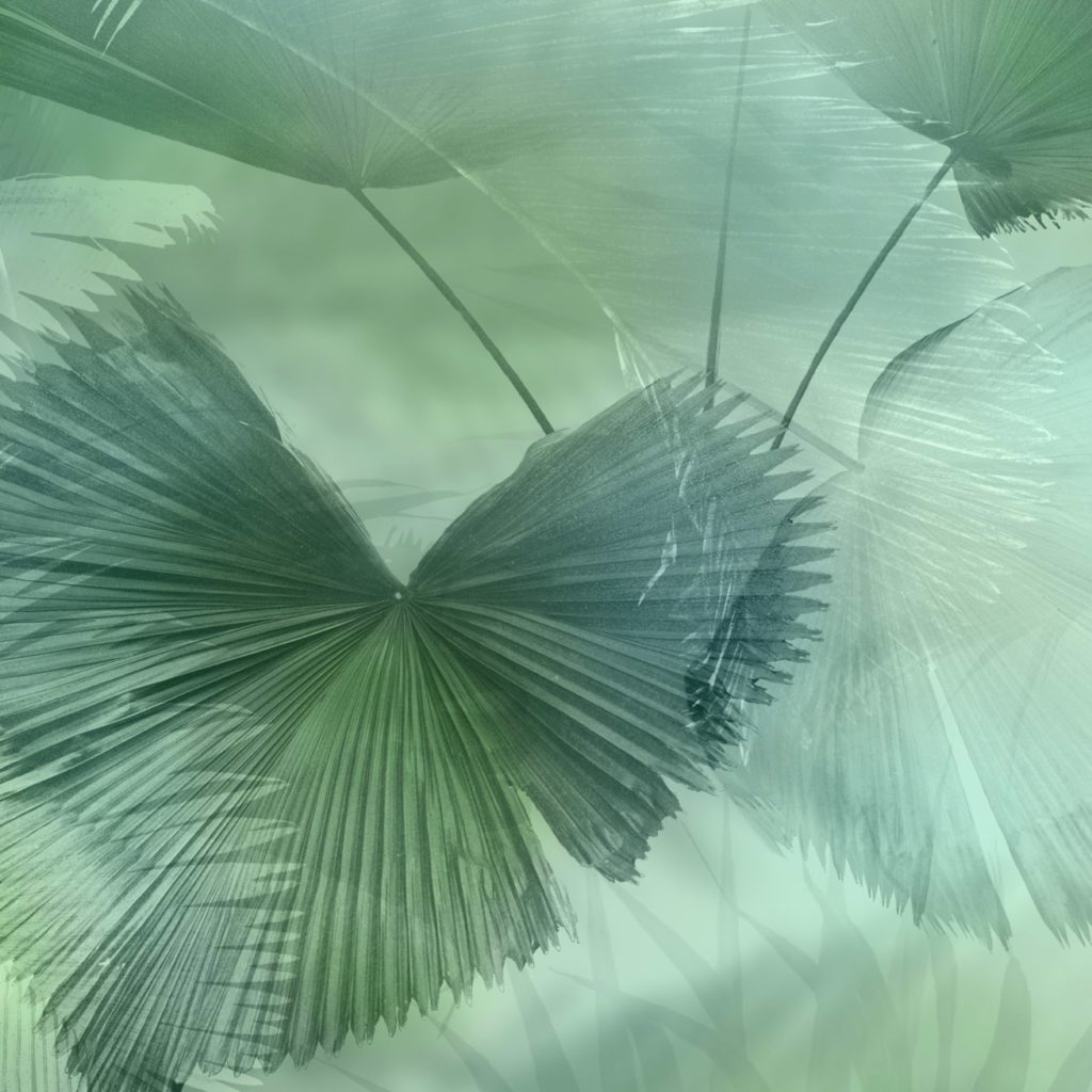 Macondo wallpaper 006