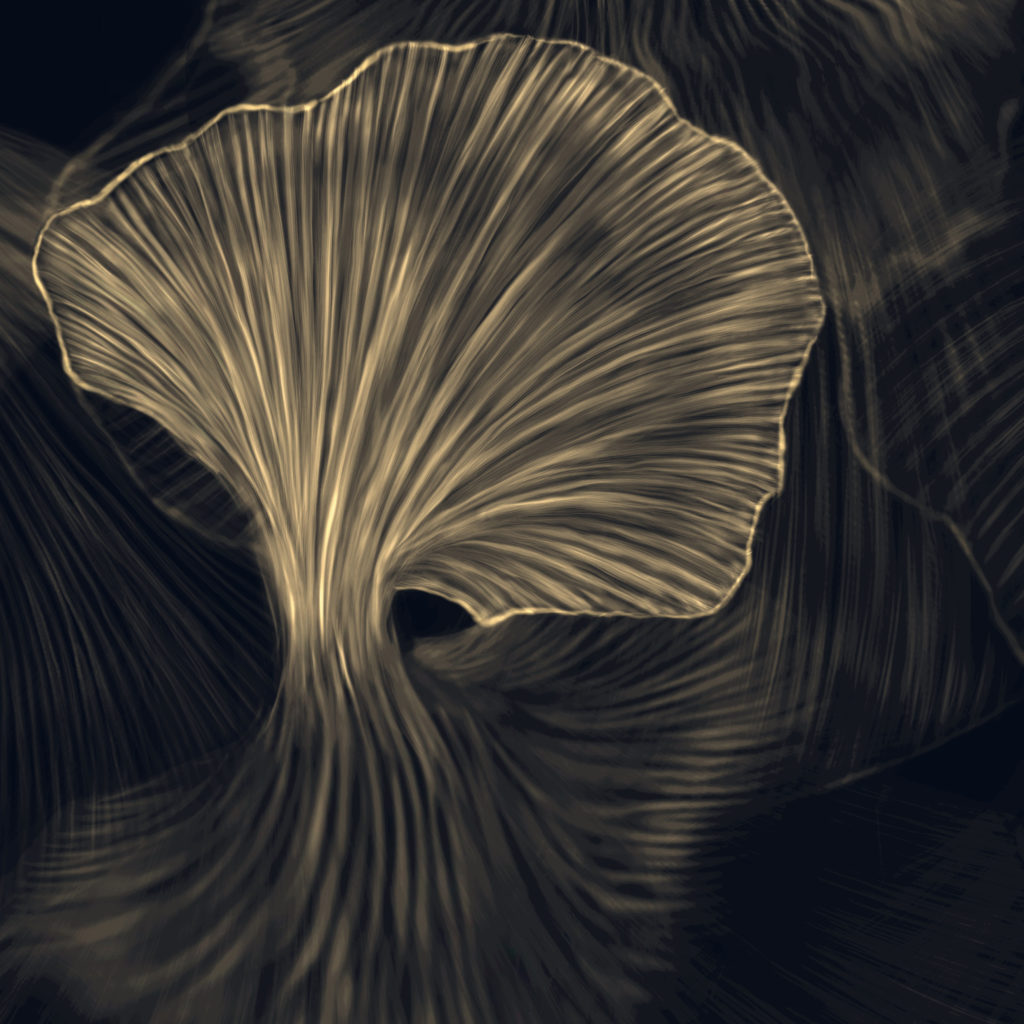 Gild wallpaper 003
